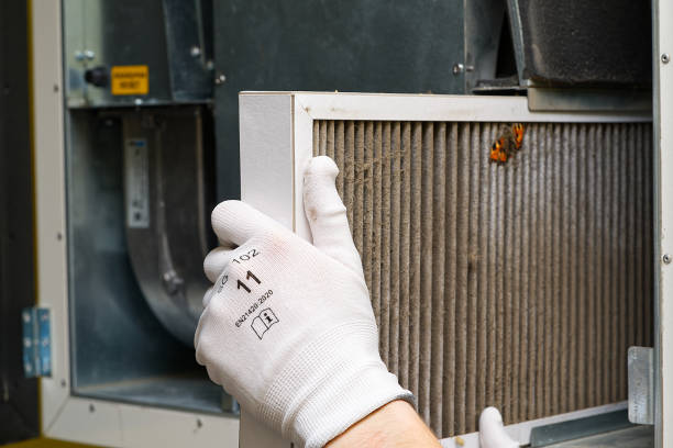 Best Residential Air Duct Cleaning  in Marine City, MI