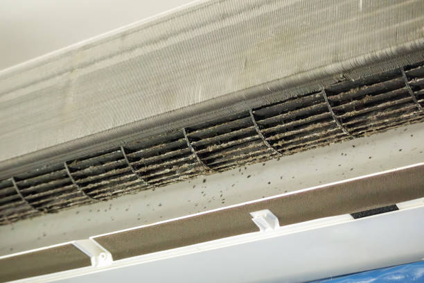 Best Affordable Air Duct Cleaning  in Marine City, MI